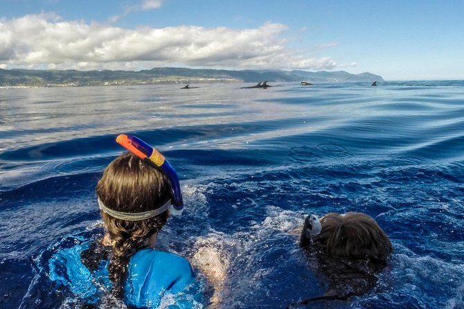 Private Marine Wildlife Boat Tour - Pricing and Value
