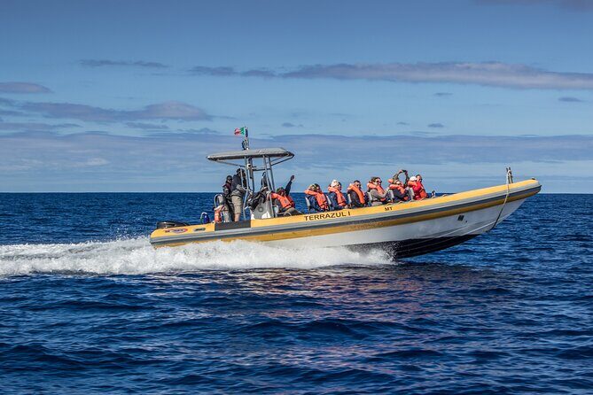 Private Marine Wildlife Boat Tour - Final Thoughts