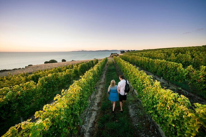 Private Marlborough Winery Tour - Experience Marlborough in Your Own Way: Private Winery Tour from Picton
