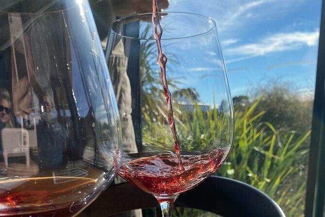 Private Martinborough Wine Tour for Wine Enthusiasts - Exploring the Martinborough Private Wine Tour