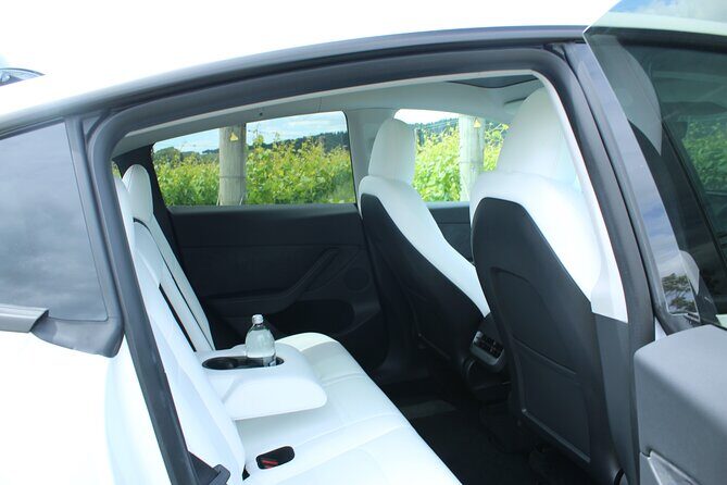 Private Martinborough Wine Tour in an Electric Vehicle - Tesla Model Y - Who Will Love This Tour?