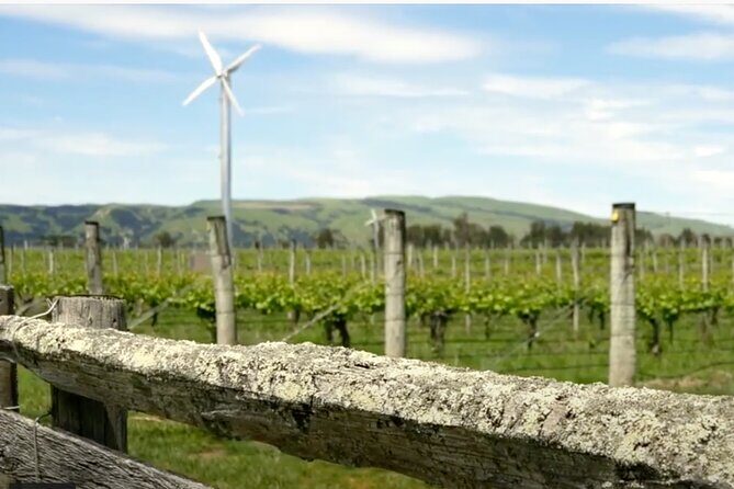 Private Martinborough Wine Tour in an Electric Vehicle - Tesla Model Y - Final Thoughts: Why Choose This Tour?