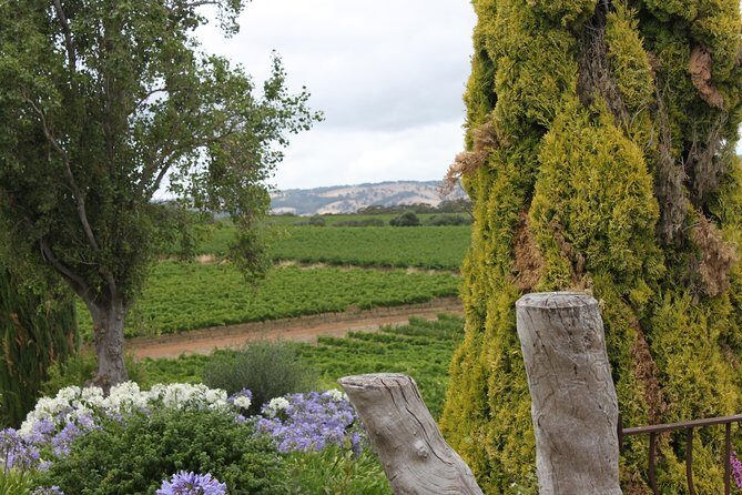 Private McLaren Vale Wine Region Tour from Adelaide - Who Will Love This Tour?