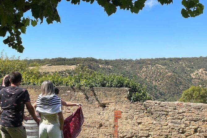 Private Mclaren Vale Wine Tour - Authentic Feedback from Past Travelers