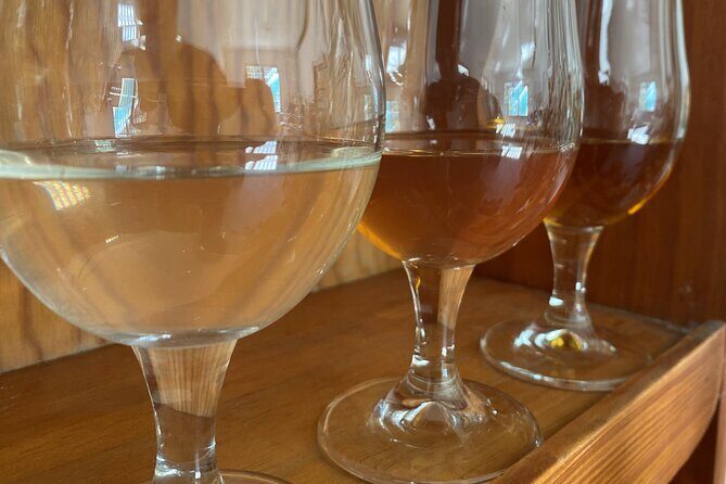 Private Mead Taste Experience in Lourdes - Private Mead Taste Experience in Lourdes: A Sweet Encounter with Honey and History