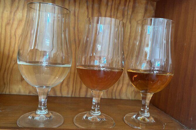 Private Mead Taste Experience in Lourdes - Key Points