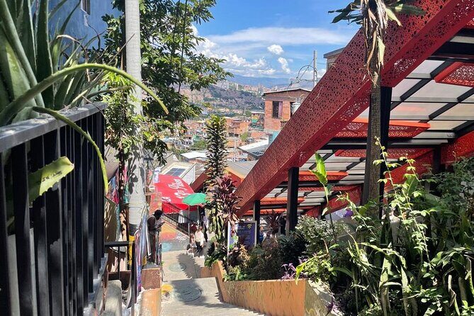 Private Medellín City Tour + Comuna 13! - Key Points