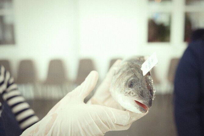 Private Mediterranean Fish Cooking Workshop with Irena - Key Points