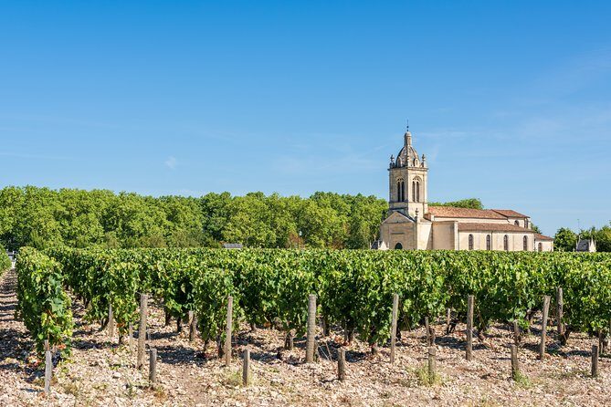Private Médoc 4.5 hours Wine Tour in a Citroën 2CV from Bordeaux - The Sum Up