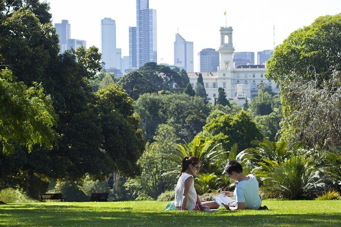 Private Melbourne City Sights - Morning Tour - What You Can Expect During the Tour