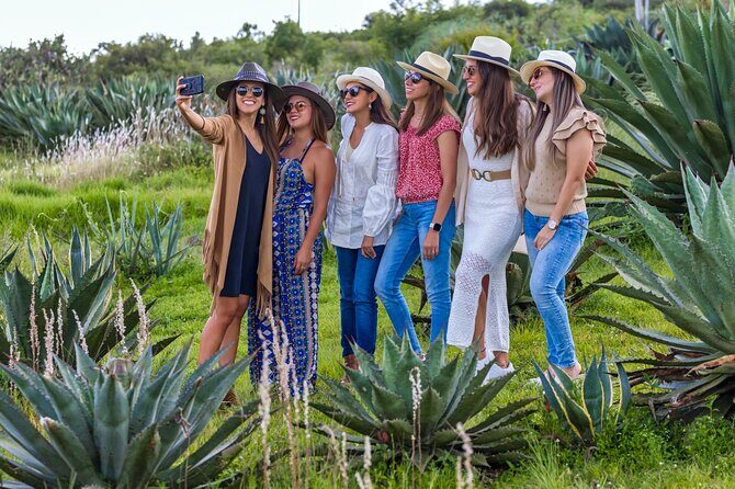 Private Mezcal Tasting Journey by Car in Oaxaca - Key Points