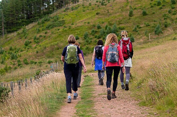 Private Mindfulness and Nature Walk in Edinburgh - Why Travelers Keep Coming Back