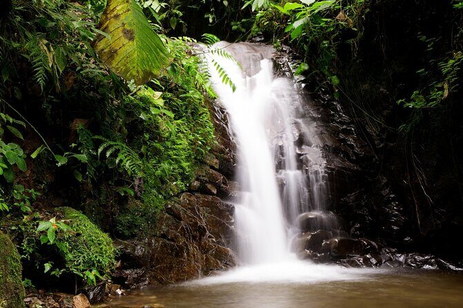 Private Mindo Cloud Forest Adventure - Key Points