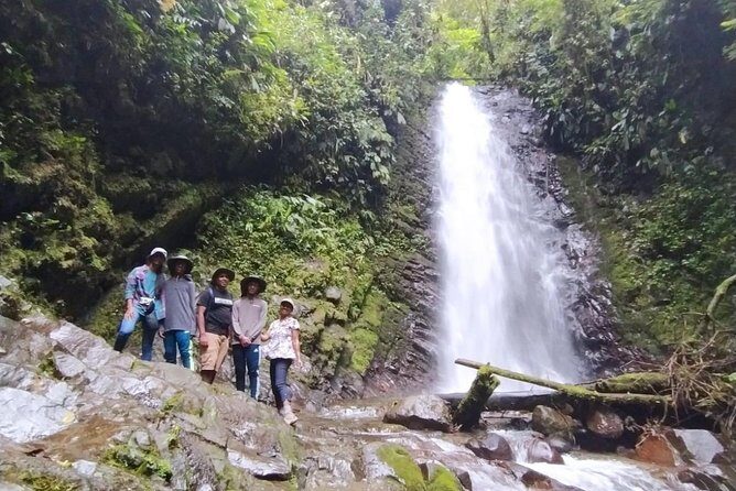 PRIVATE Mindo Cloud Forest tour - Final Thoughts: Is This Tour Right for You?