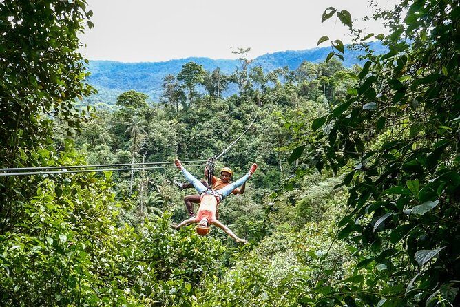Private Mindo Cloud Forest Tour from Quito - A Closer Look at the Private Mindo Cloud Forest Tour from Quito