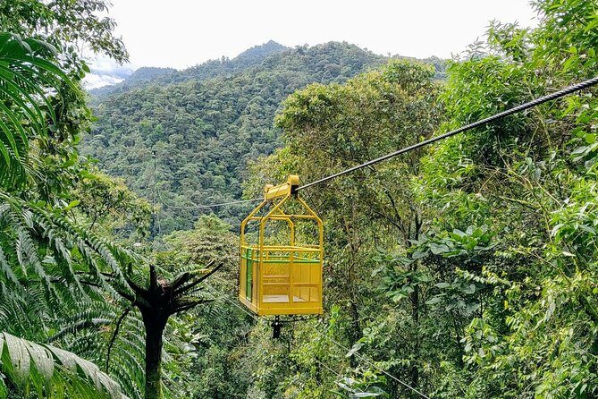 Private Mindo Cloud Forest Tour from Quito - The Tarabita Ride: Deep into the Cloud Forest
