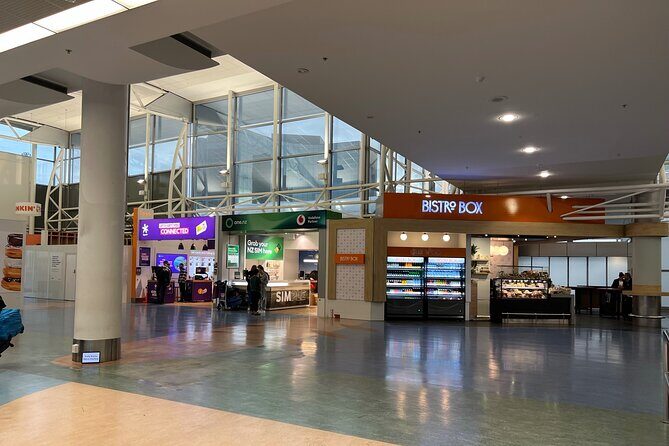 Private Mini Van Transfer From Auckland Airport to Auckland City - Who Would Benefit Most from This Service?