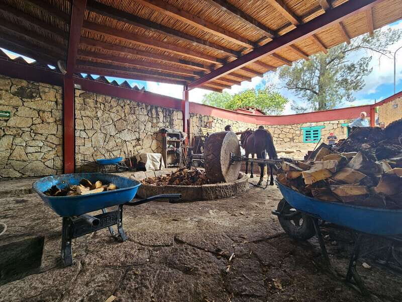 Private Mitla, Hierve el agua and Mezcal Tour with Lunch - Final Thoughts