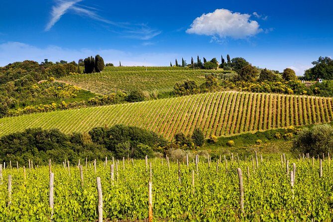 Private Montalcino and Pienza Tour from Siena - Authentic Experiences That Shine
