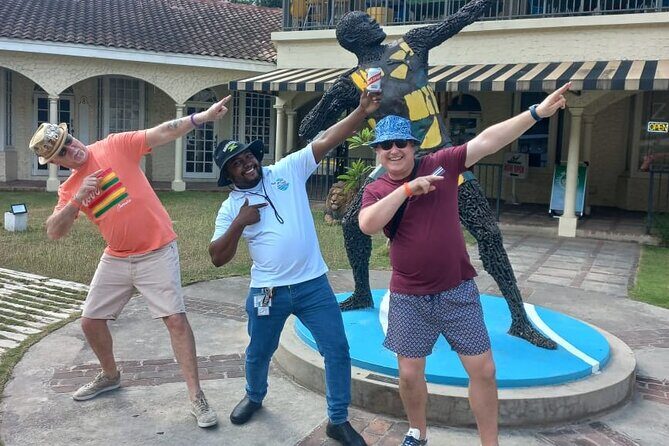 Private Montego Bay Airport Transfer to Riu Palace Aquarelle - Final Thoughts: Who Should Consider This?