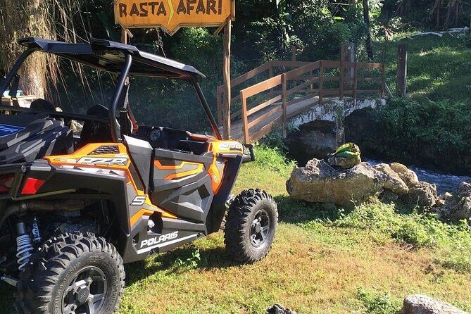 Private Montego Bay Airport Transportation to Ocho Rios Hotels - The Sum Up: Who Should Book This Transfer?