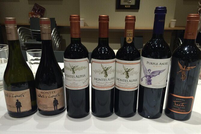 Private Montes Winery (7th World Best Wine) & Transfer to Hotel - Key Points