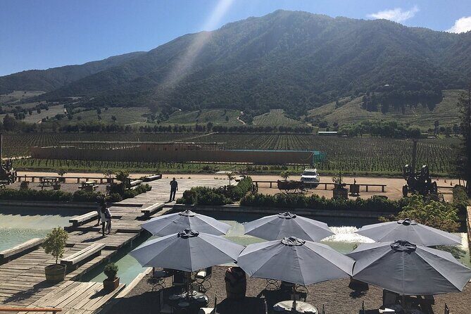 Private Montes Winery (7th World Best Wine) & Transfer to Hotel - Final Thoughts