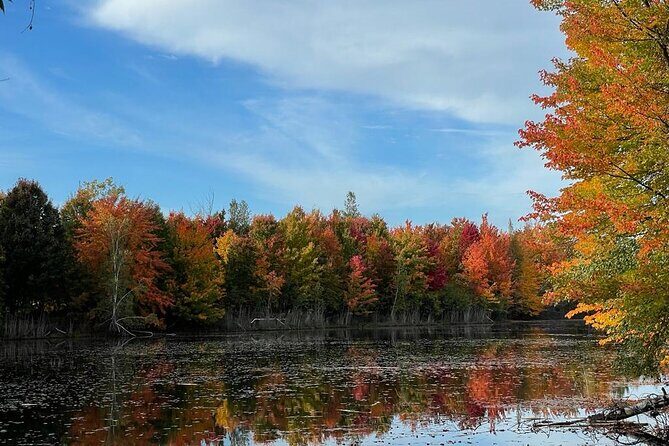 Private Montreal Car Tour with History and Hidden Gems - The Itinerary: What to Expect at Each Stop