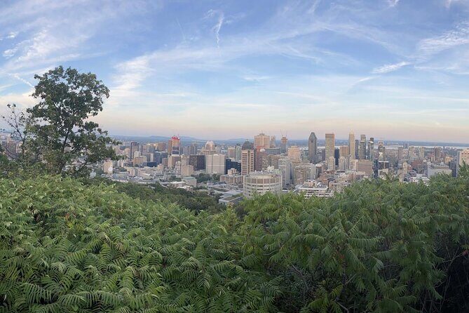 Private Montreal Car Tour with History and Hidden Gems - Why This Tour Offers Good Value