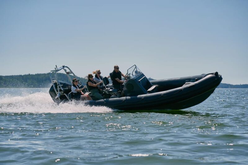 Private morning boat tour to the Airisto - An In-Depth Look at the Private Boat Tour to the Airisto