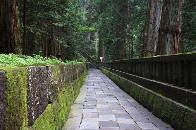 Private Morning Hike Around Nikko Toshogu Shrine - Final Thoughts: Is This Tour Worth It?