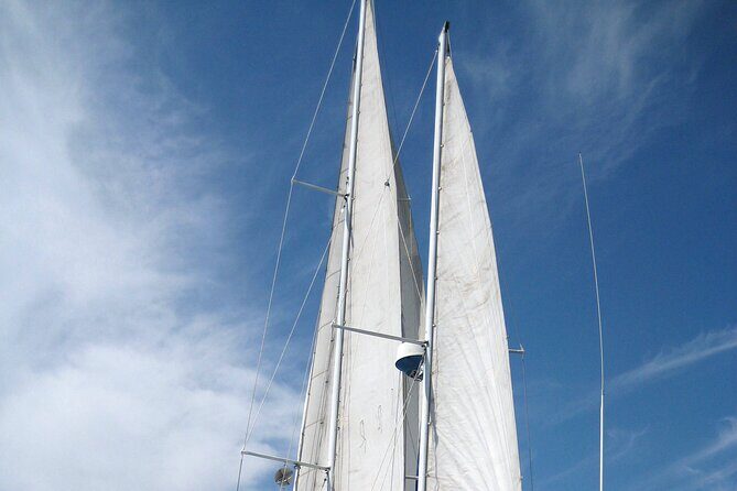 Private Morning Sail & Snorkel Tour - Why Choose This Tour? The Value and Experience