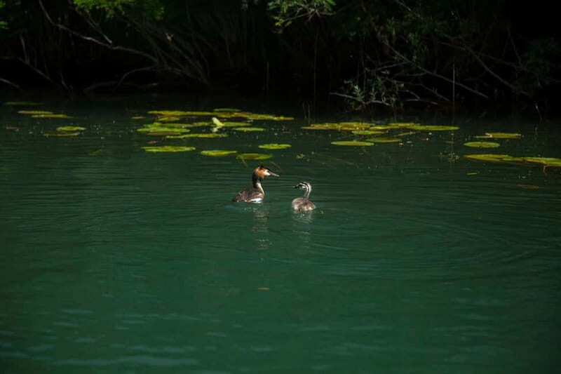 Private morning tour with refreshments and hidden canals! - FAQ