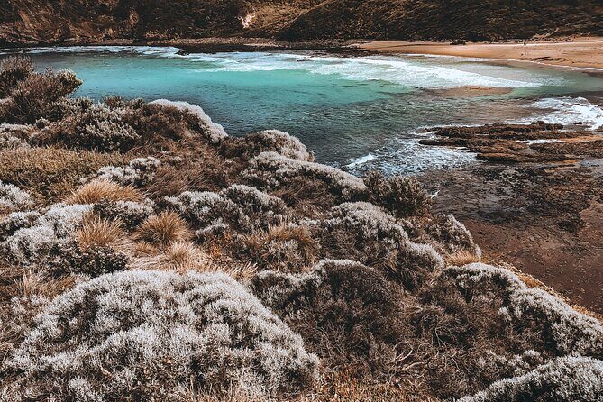 Private Mornington Peninsula Hike and Hot Springs Tour - Exploring the Mornington Peninsula: A Guided Private Day Trip