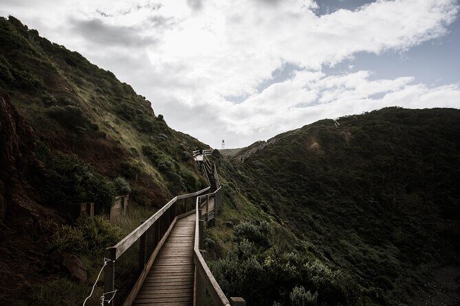 Private Mornington Peninsula Hike and Hot Springs Tour - Who Will Love This Tour?