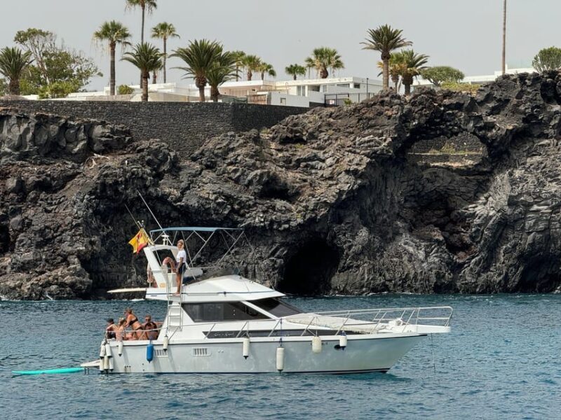 Private MotorBoats for up 22 passengers - The Experience: What You Can Expect on This Tenerife Boat Tour