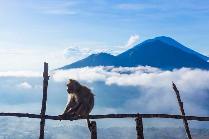 Private Mount Batur Sunrise Trekking Tour - Extra Costs & Considerations