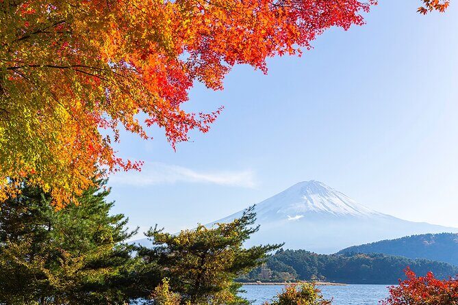 Private Mount Fuji and Hakone City Tour from Tokyo - A detailed look at this private Mt. Fuji and Hakone tour