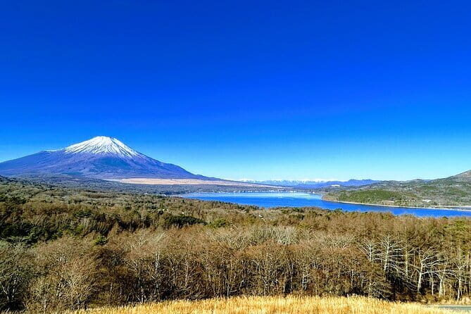 Private Mount Fuji Day Trip from Tokyo by Car - Experience the Majesty of Mount Fuji on a Private Day Trip from Tokyo