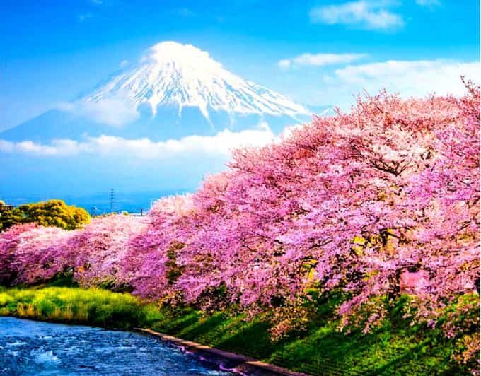 Private Mount Fuji sightseeing Day trip with English Guide - Exploring the Itinerary in Detail