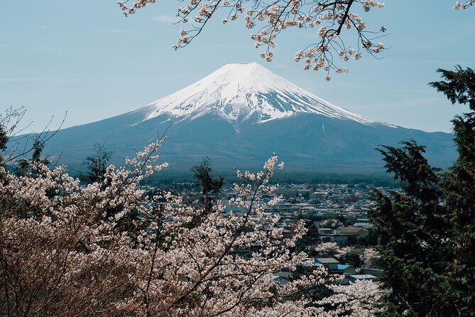 Private Mount Fuji Tour: Scenic Views, Lakes & Local Culture - Key Points