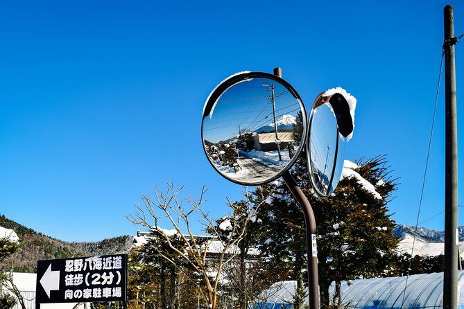 Private Mount Fuji Tour: Scenic Views, Lakes & Local Culture - Exploring the Private Mount Fuji Tour in Detail