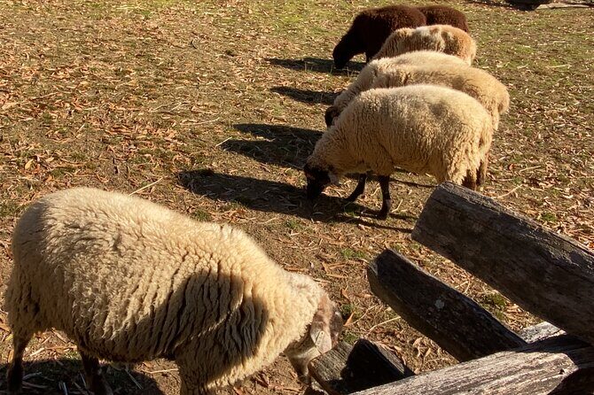 Private Mount Vernon Tour for up to 10 Guests - The Itinerary Breakdown: What You’ll See and Experience