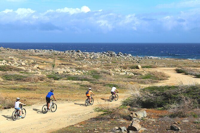 Private Mountain Bike Tour in Aruba - Key Points