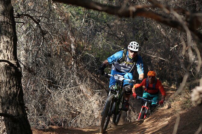 Private Mountain Bike,Trail Ride Tour of Mount Ymittos, Athens. - Wrapping Up