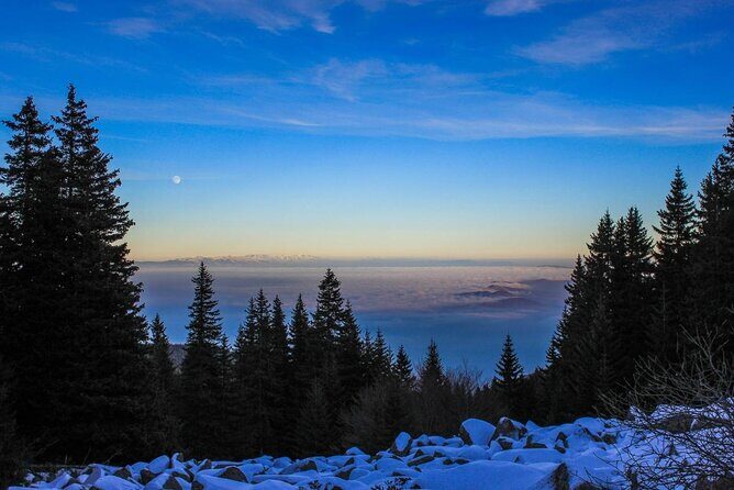Private Mountain Biking in Vitosha from Sofia - Experience the Thrill of Private Mountain Biking in Vitosha from Sofia