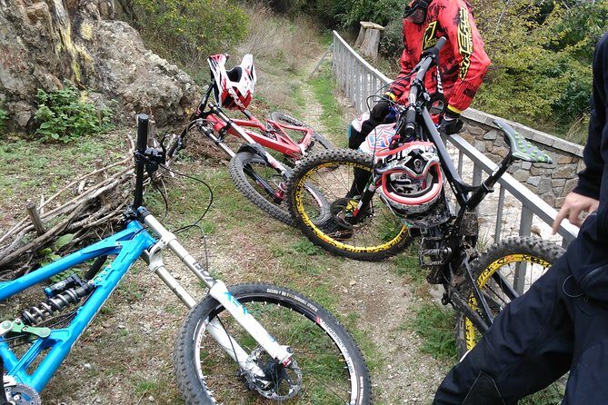 Private Mountain Biking in Vitosha from Sofia - Final Thoughts: Is It Worth It?
