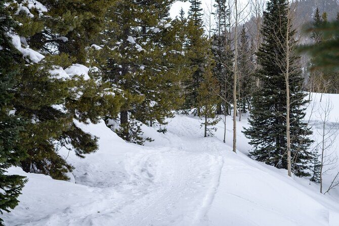 Private Mountain Roads Tour with E Bikes from Denver - Final Thoughts