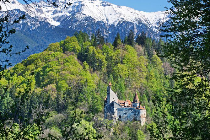 Private Movie Castles at Peles, Cantacuzino and Bran Castle Tour - A Private Journey Through Romanias Movie-Featured Castles