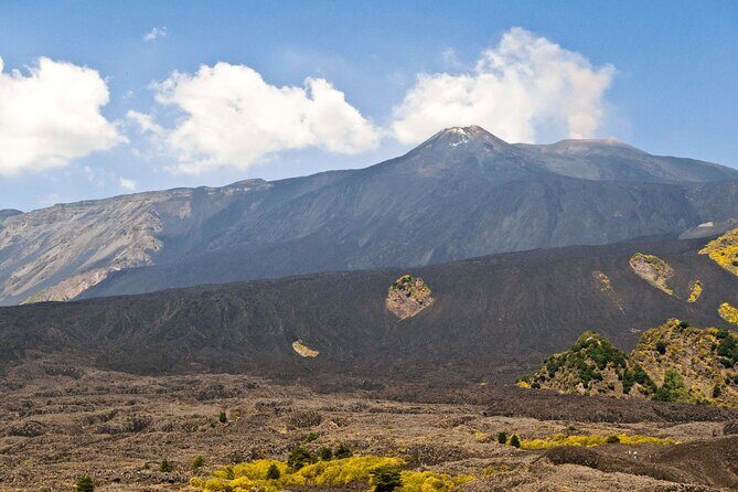 Private Mt. Etna 4WD Half Day Adventure - Who Will Love This Tour?